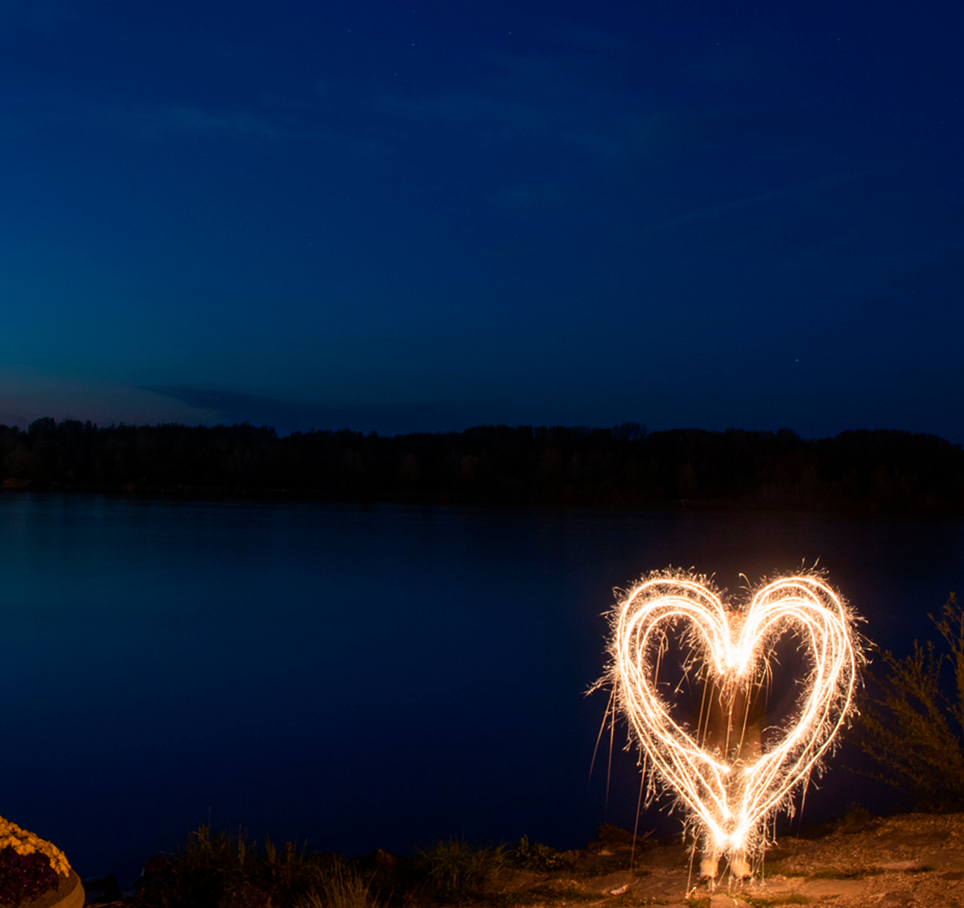 heart